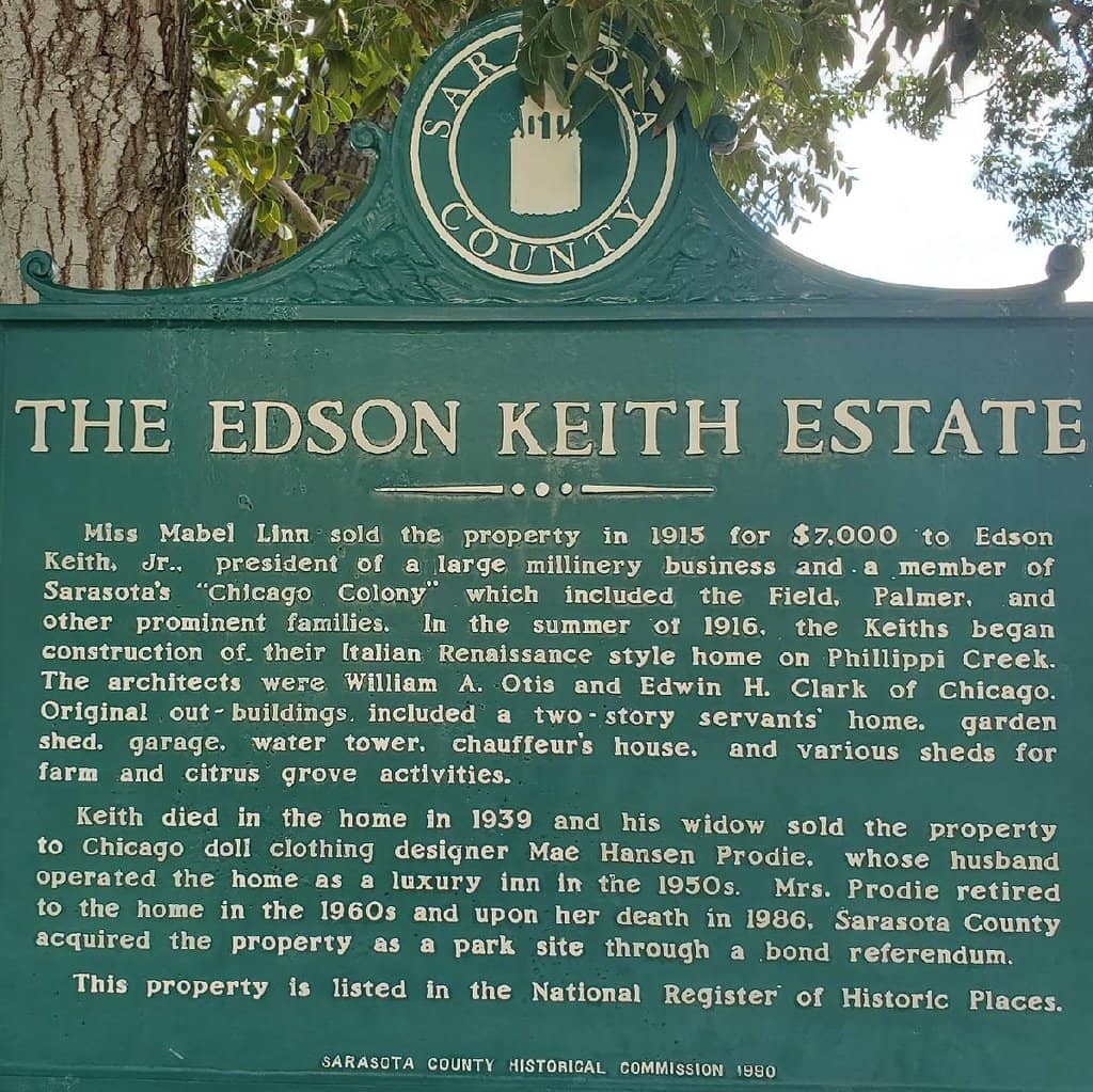 Spanish Moss Draped Oaks