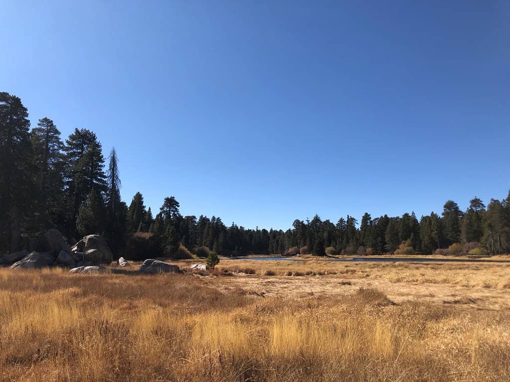 Historic Cabins and Remnants