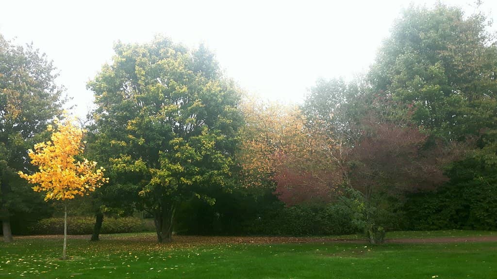 Active Lifestyle Hub