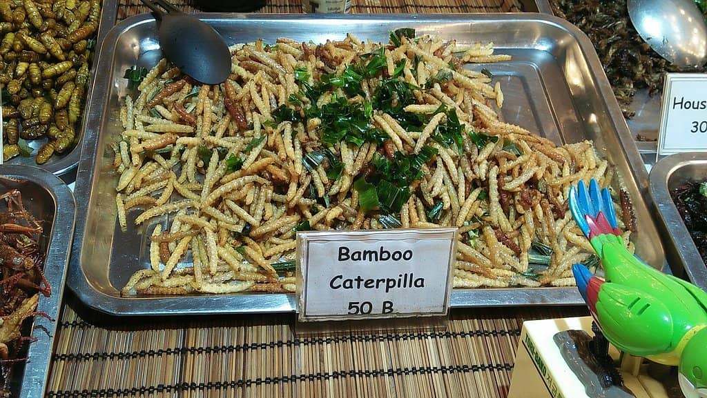 Thrift Shopping Gems