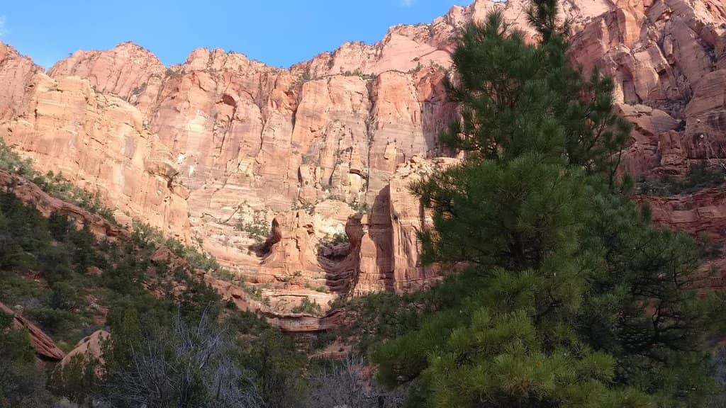 Kolob Canyons Scenic Drive