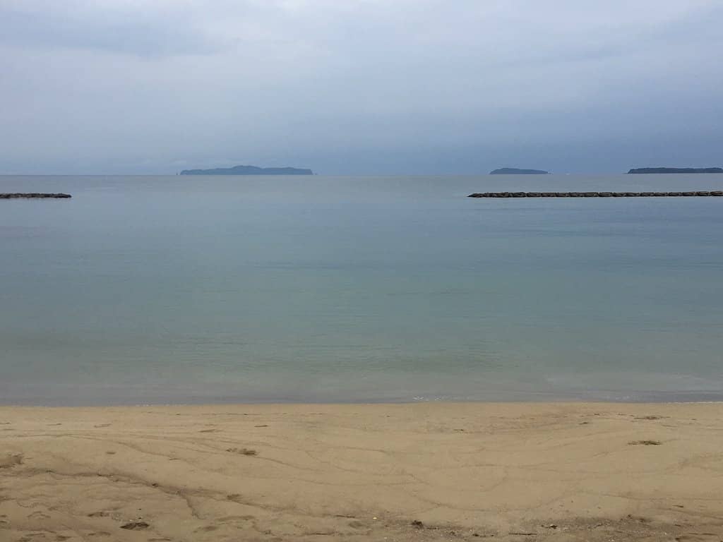 Peaceful Sunset Views