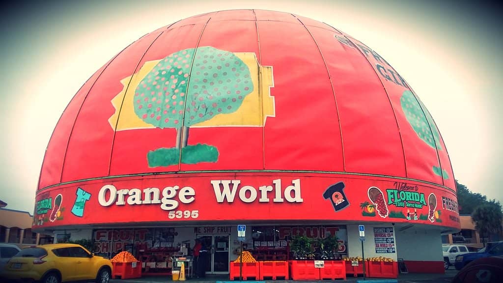 Florida Souvenir Galore