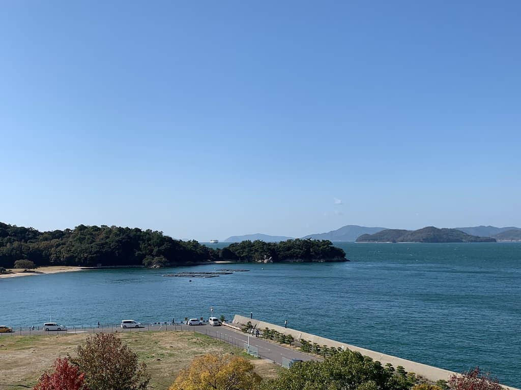 Cardboard Play Space