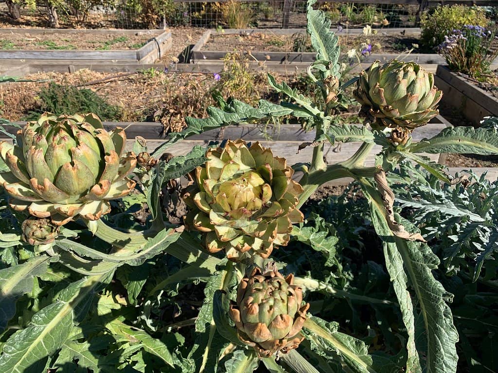 Sustainable Wine Tasting