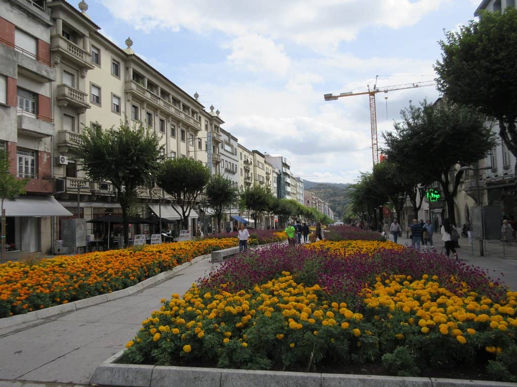 Seasonal Decorations