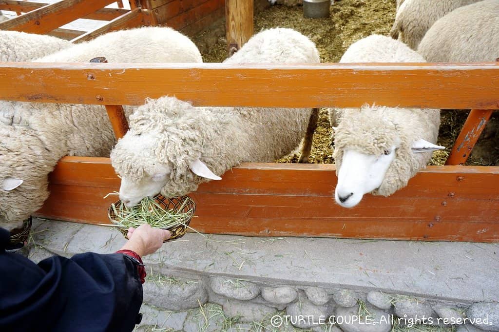 Seasonal Transformations