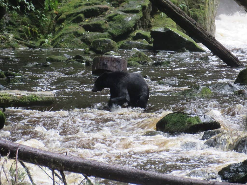 Staff & Volunteer Insights