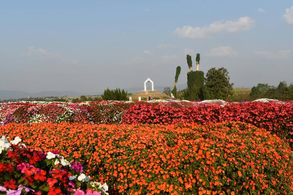 Interactive Flower Garden