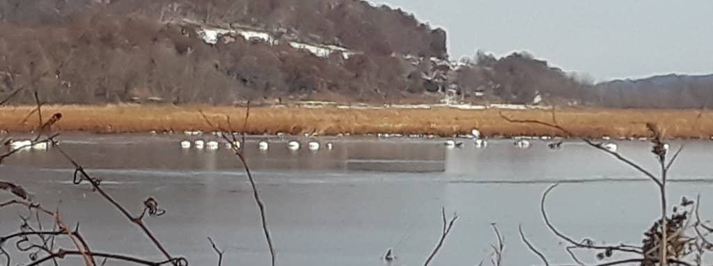 Clean Grounds & Paved Sites