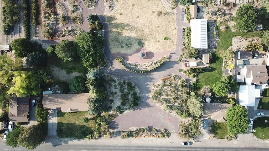 Drought-Tolerant Plant Paradise