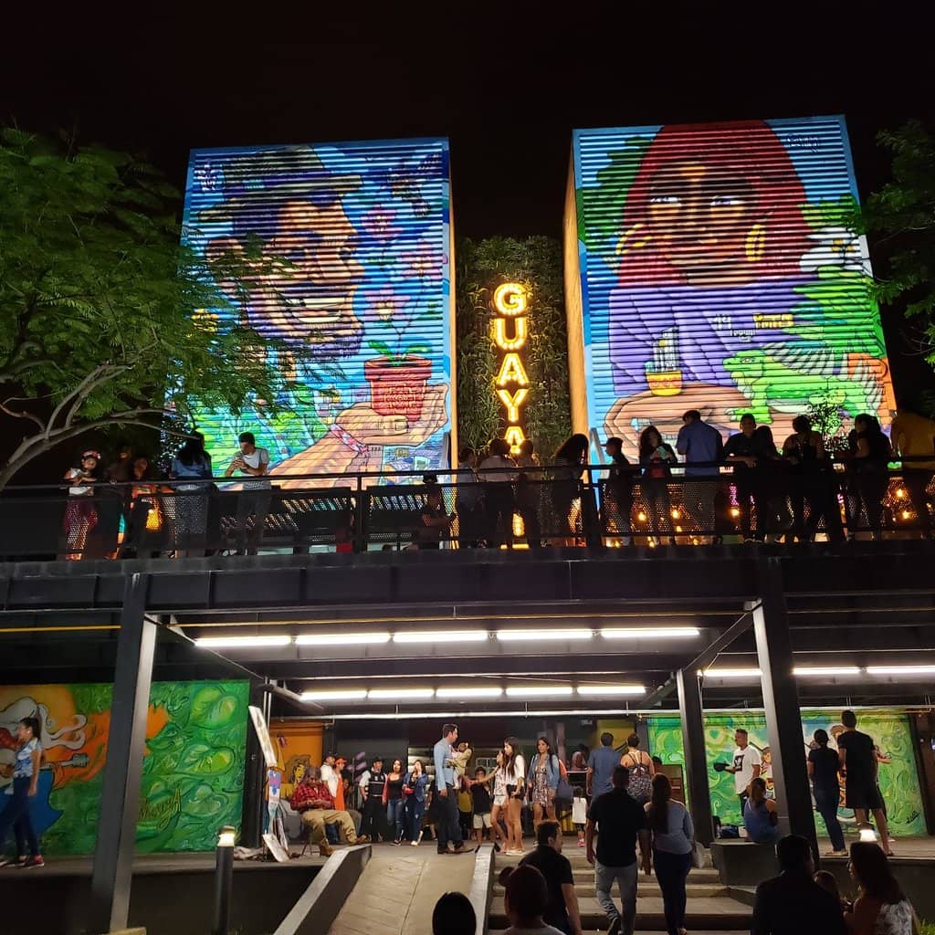 Live Music & Performances