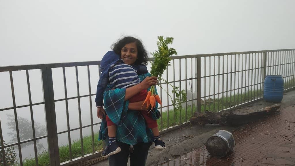 Panoramic Valley Views