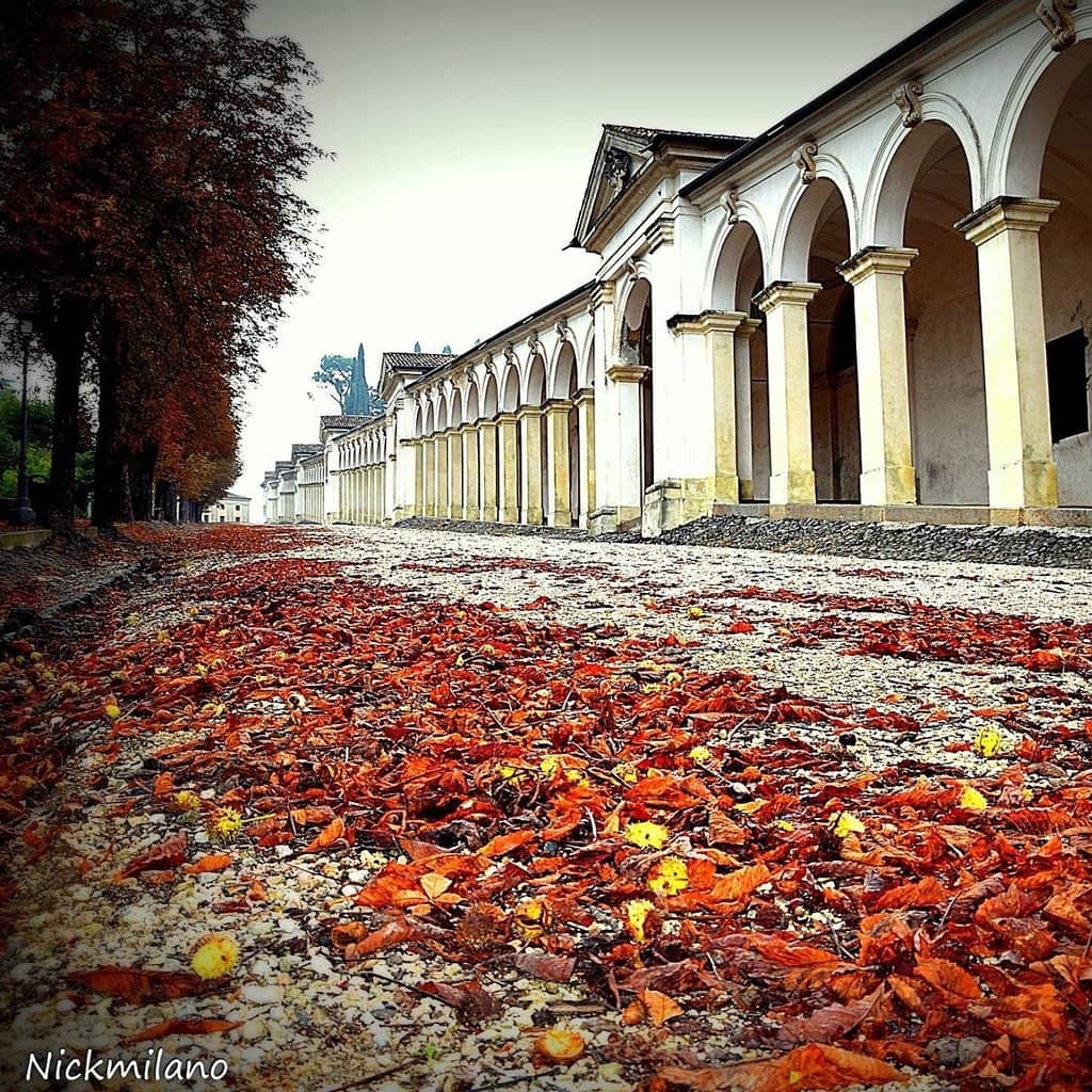 Panoramic Vicenza Views