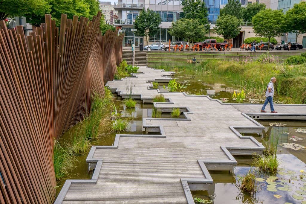 Sunken Pond with Lily Pads