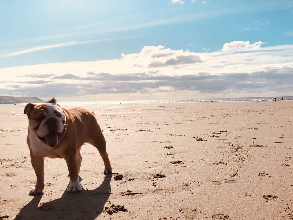 Golden Sands and Mountain Views