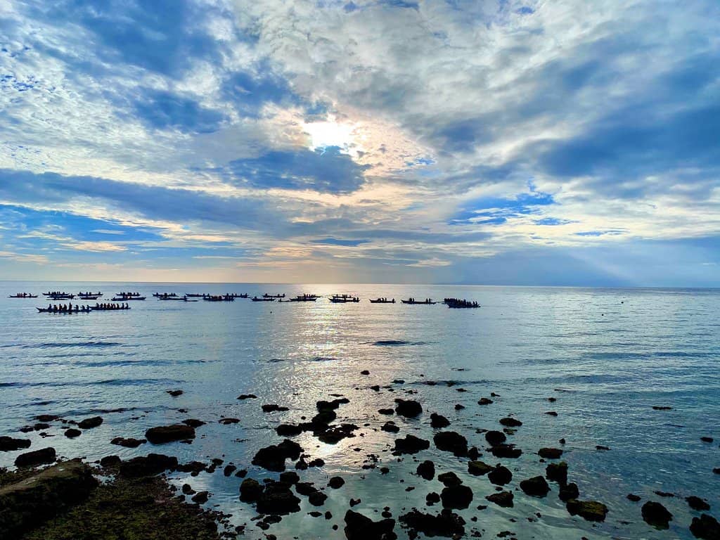Whale Shark Watching Briefing