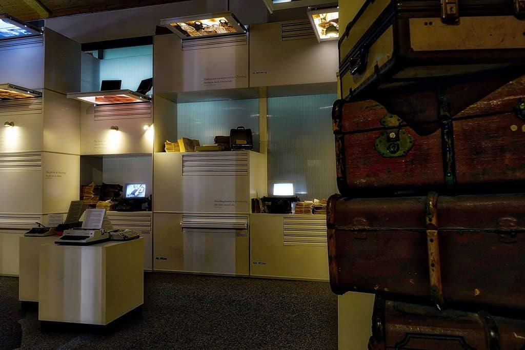 Jette the Rat's Story