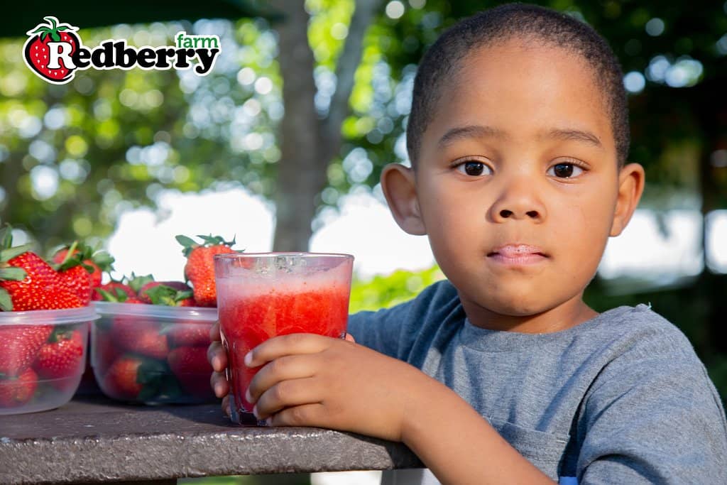 Redberry Express Train