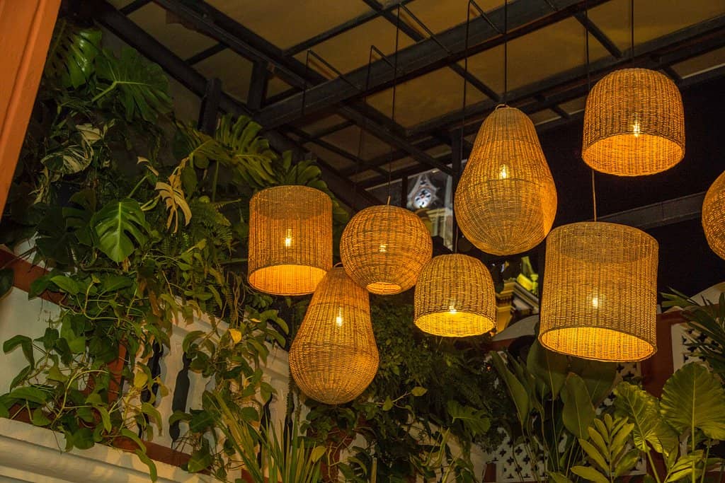 Innovative Colombian Cuisine