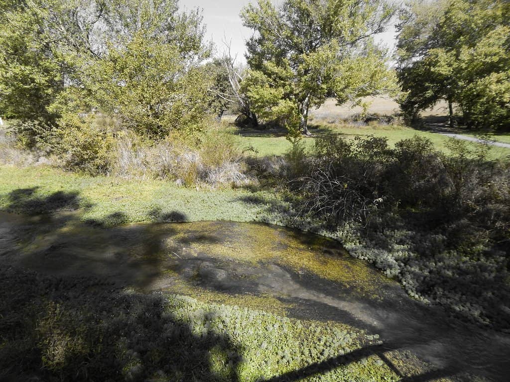 Peaceful Walking Grounds