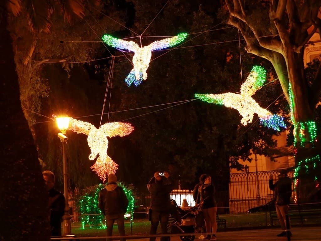 Exotic Plant Collection