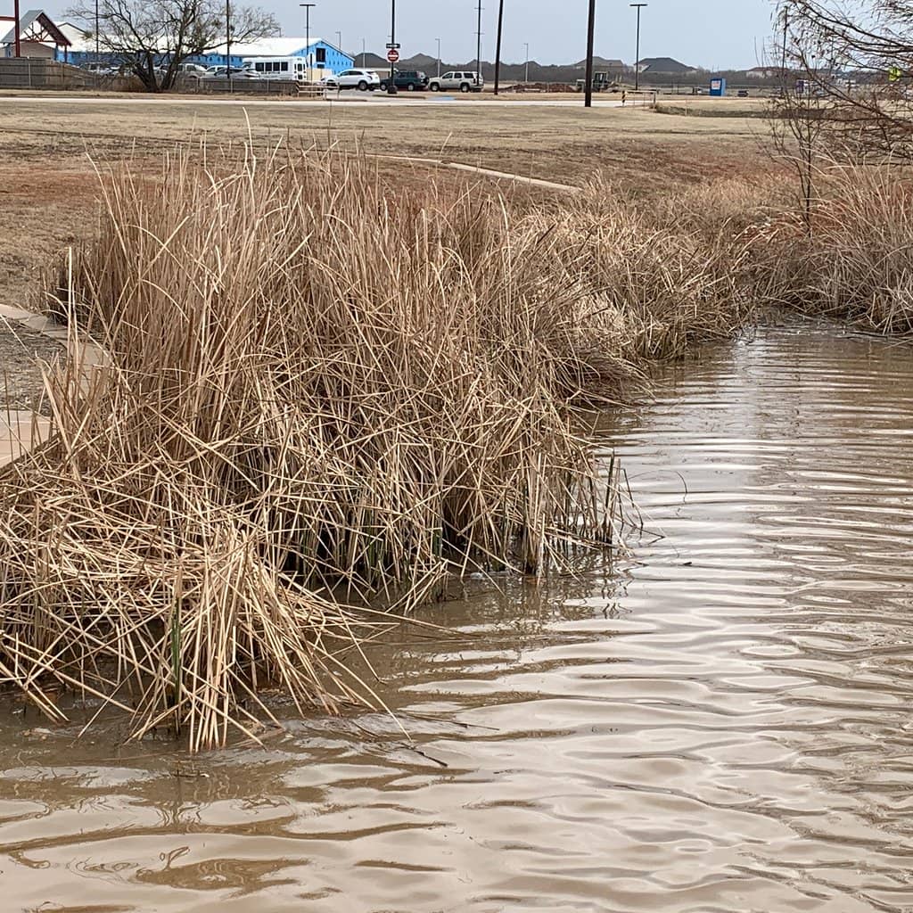 Champions Course at Weeks Park