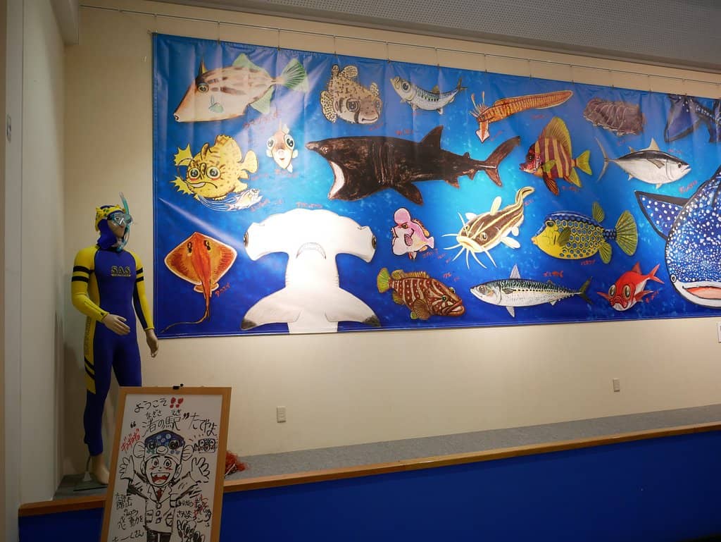 Ocean Views from Observation Deck