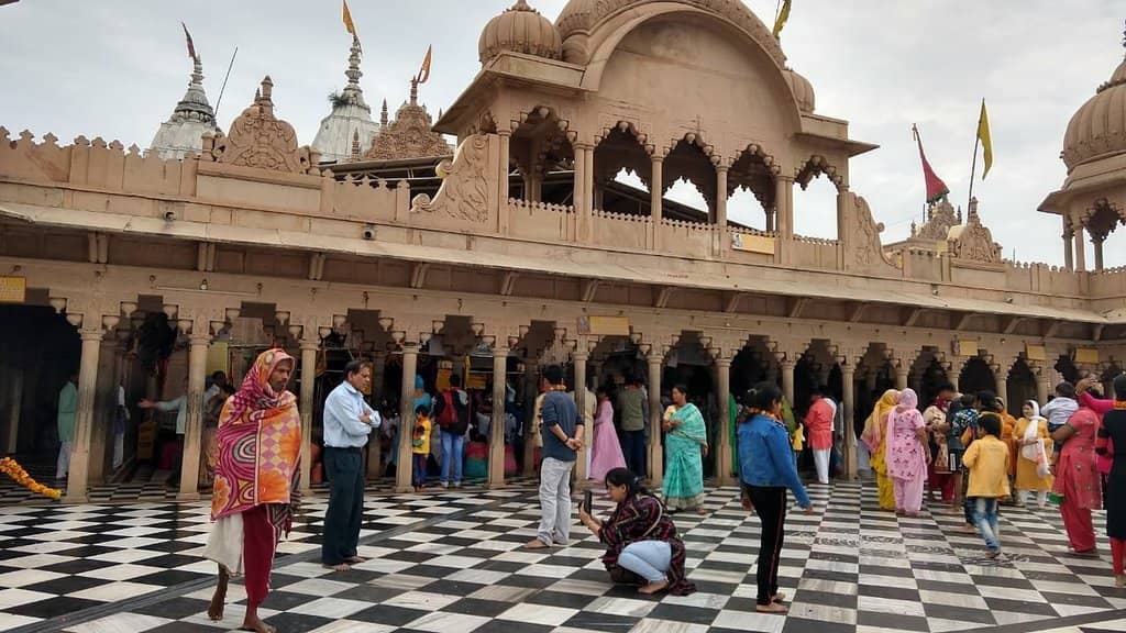 Panoramic Views from the Hilltop