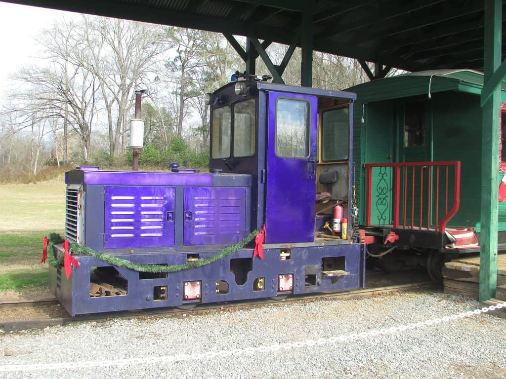 Baby Alligator Photo Op