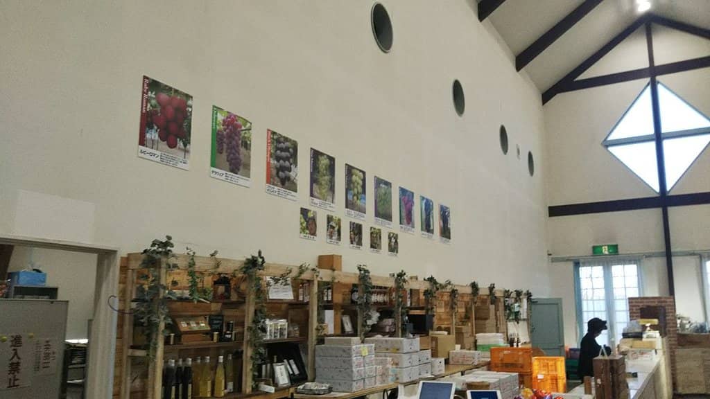 Strawberry Picking Experience