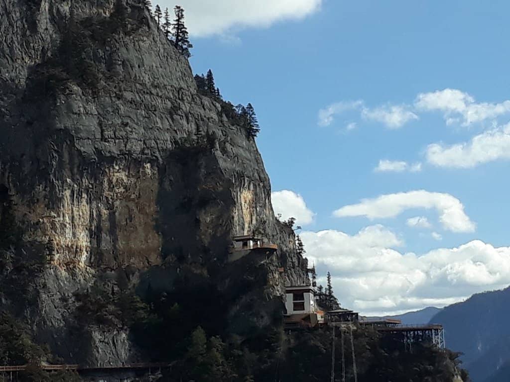 Sina Dingzhu's Story