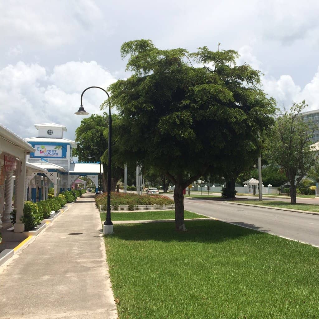 Marina Views & Boat Excursions