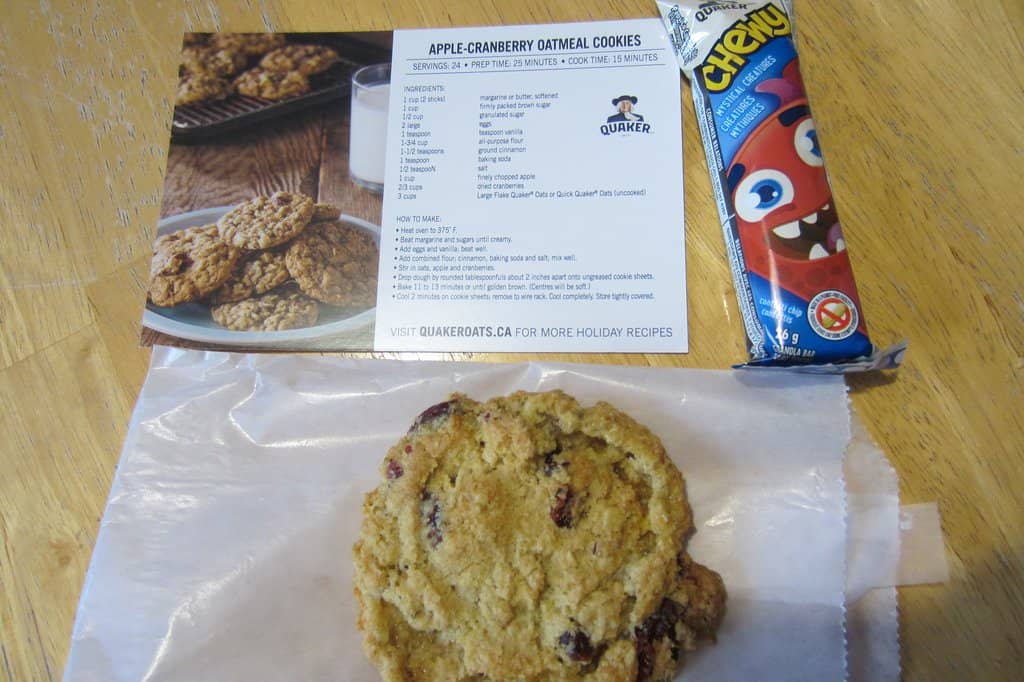 Art Installations & Exhibitions