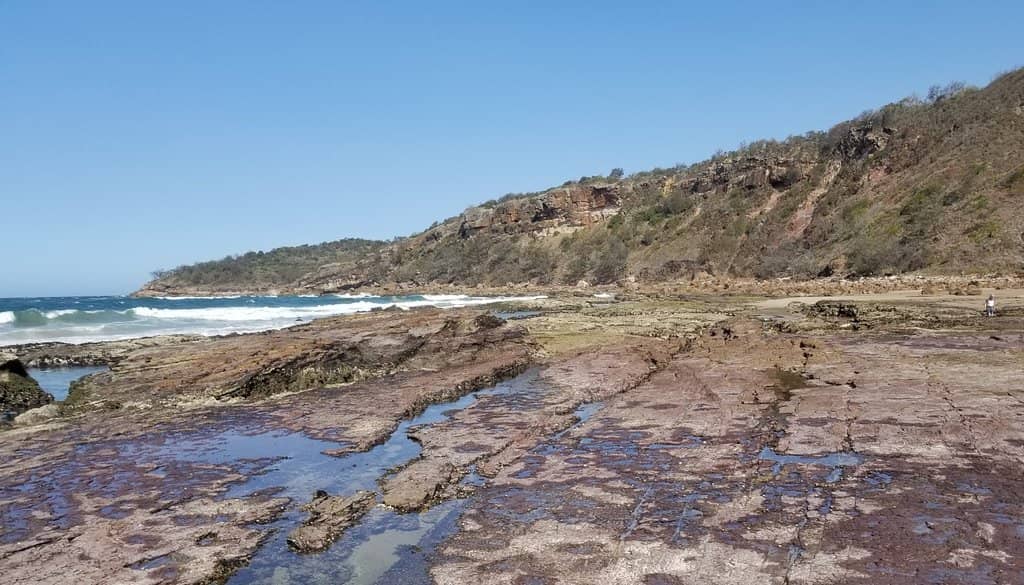 Tide Pool Discoveries