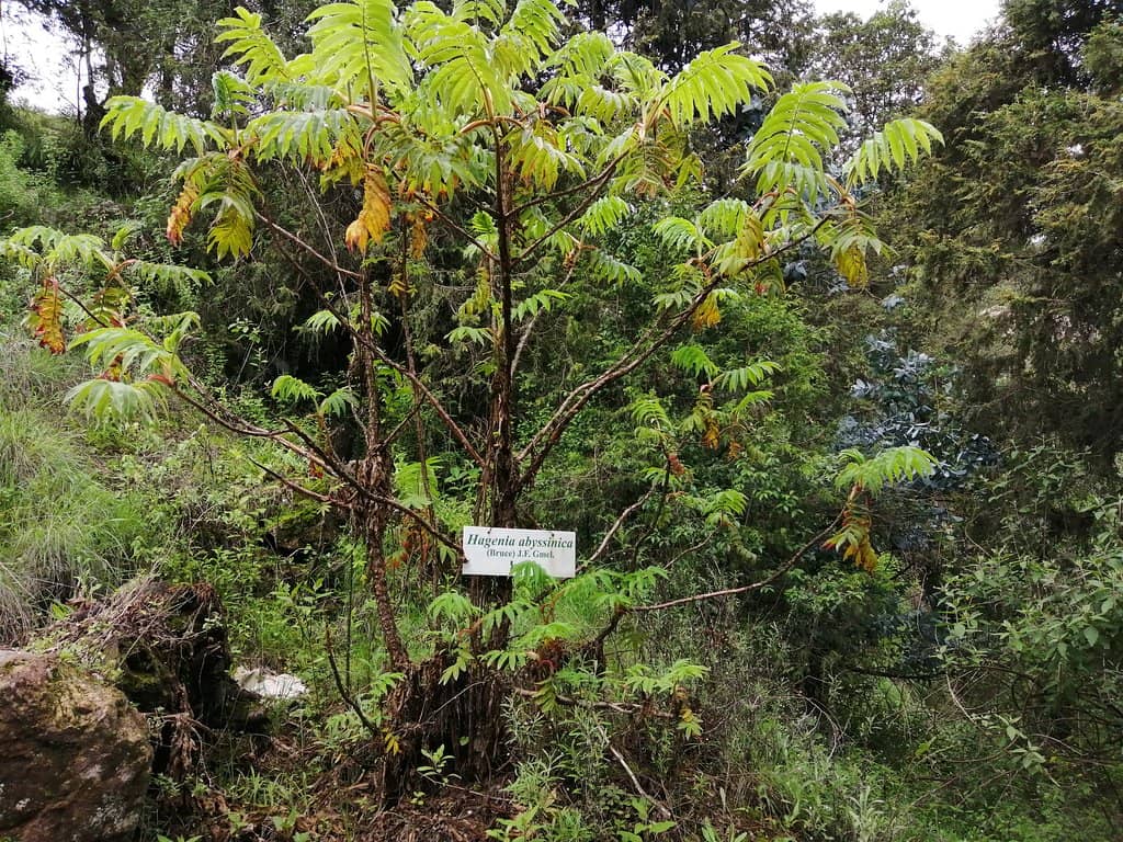 Panoramic City Views