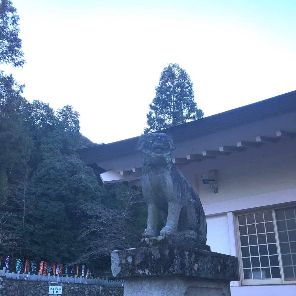 Weeping Plum Blossoms