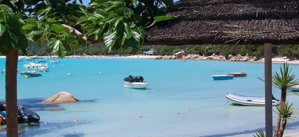 Abundant Marine Life for Snorkeling