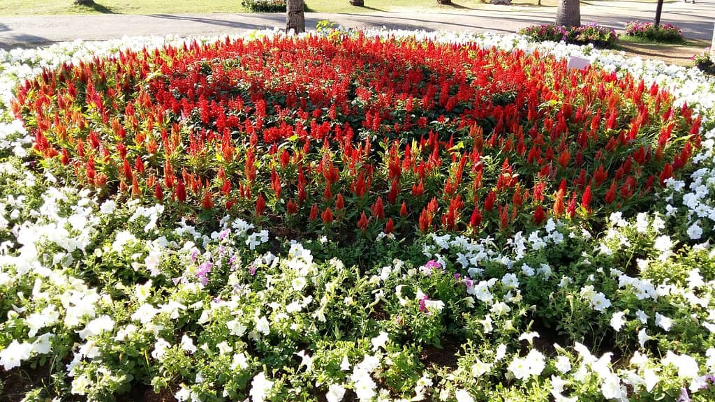 Community Exercise Hub