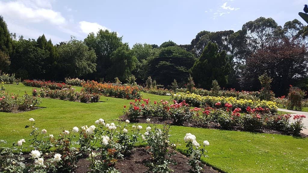 Victoria Espanade Setting