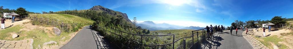 Nilgiri Tahr Spotting