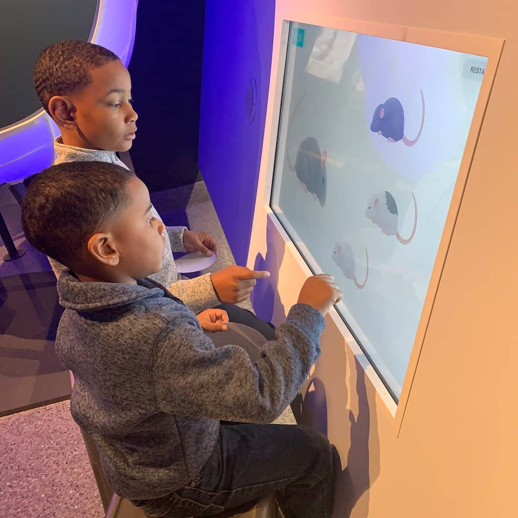 Interactive Exhibits