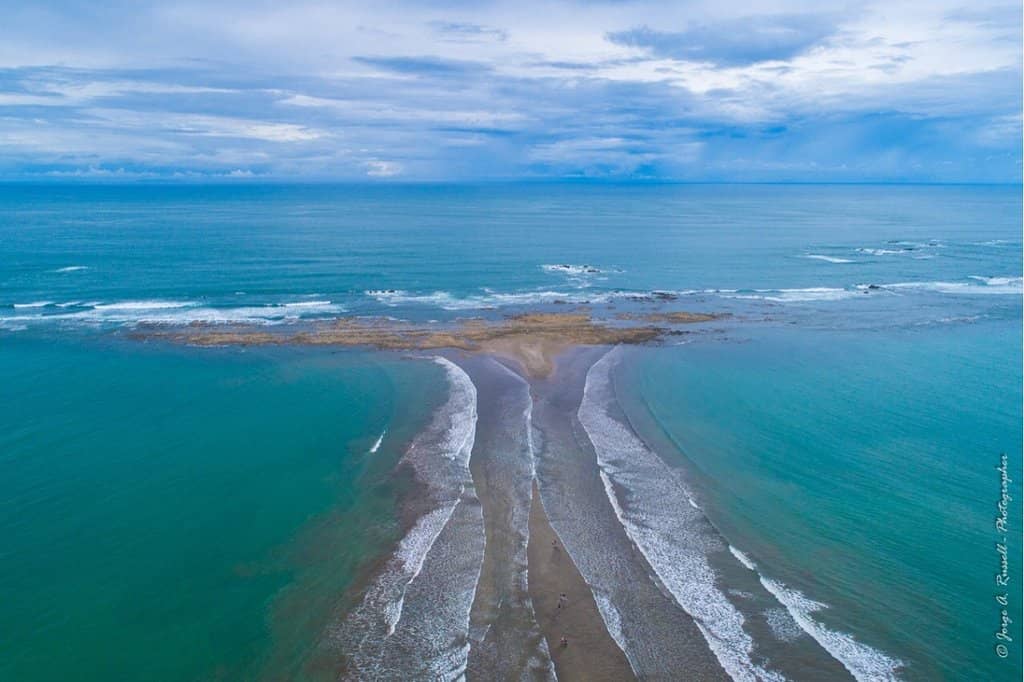 Whale and Dolphin Watching Tours