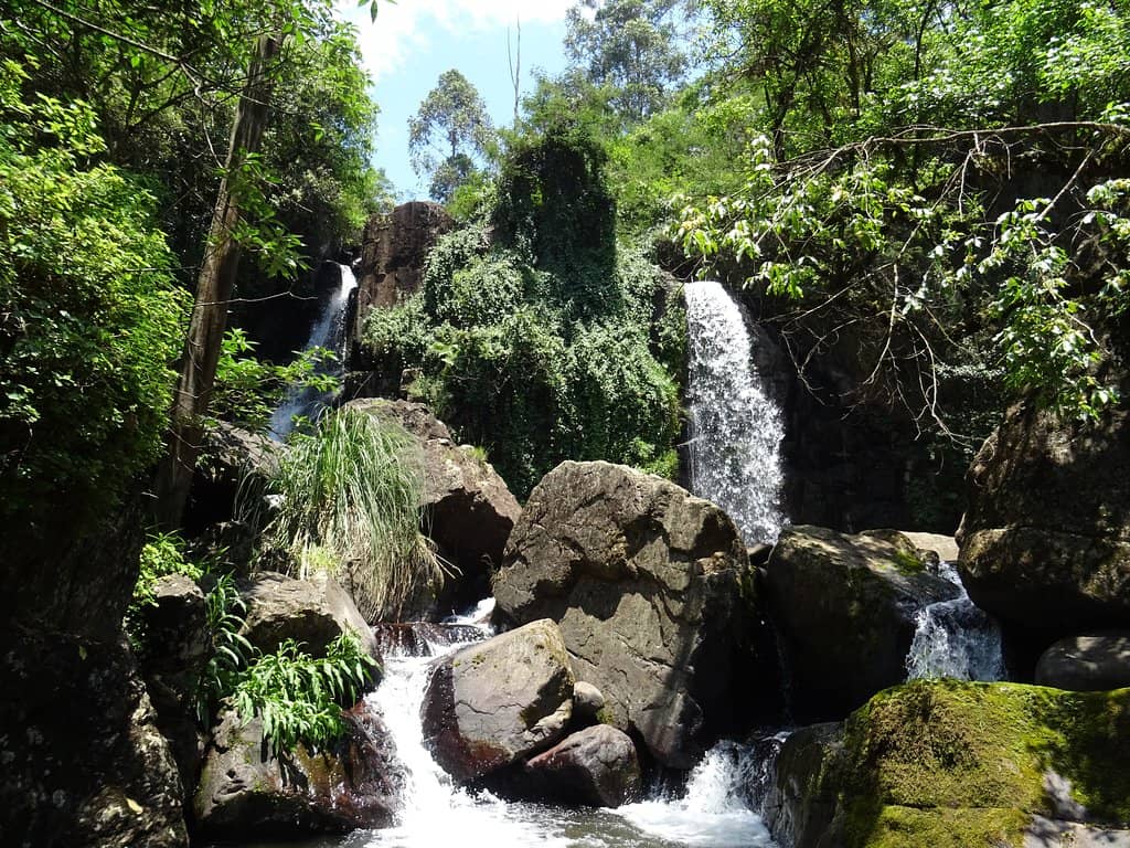 Natural Swimming Pools