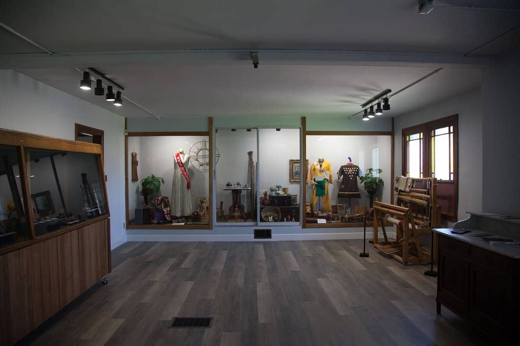 Farm Animal Encounters