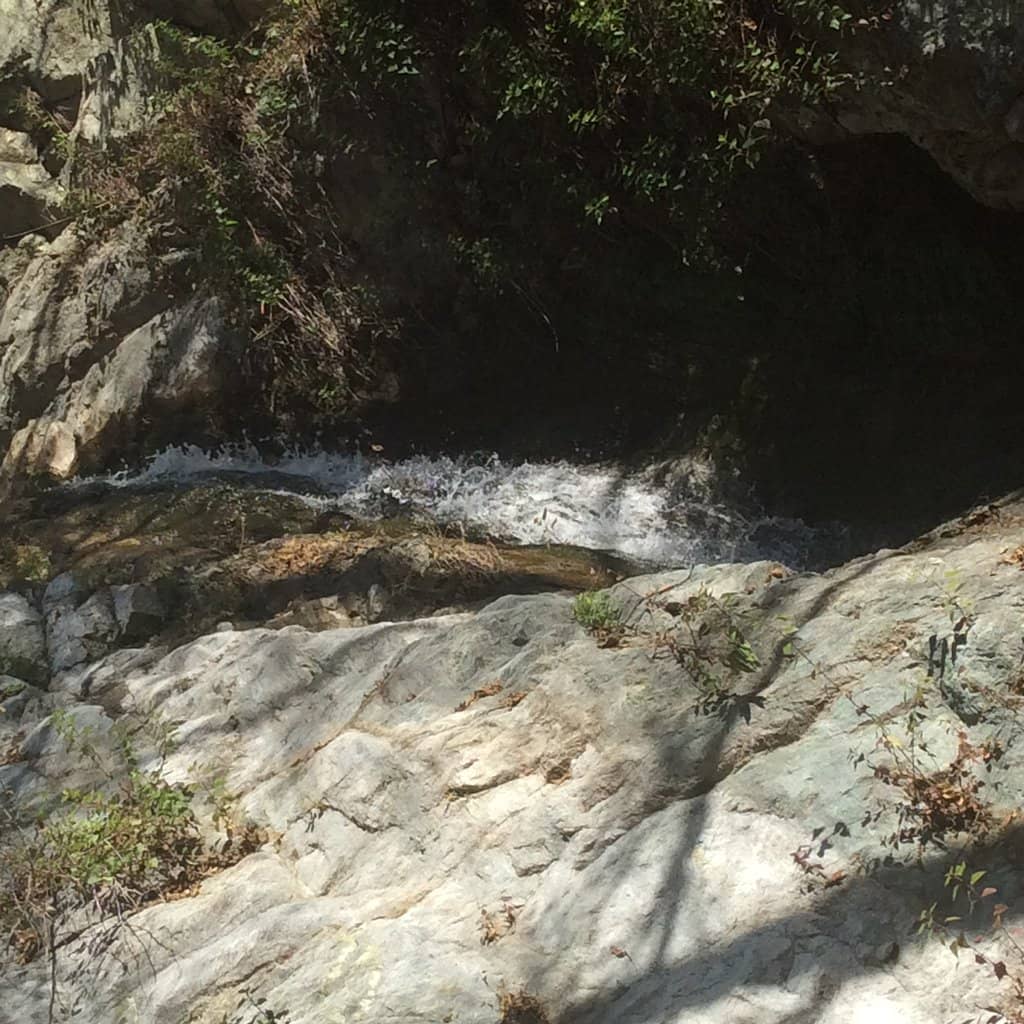 Nature Center & Picnic Areas