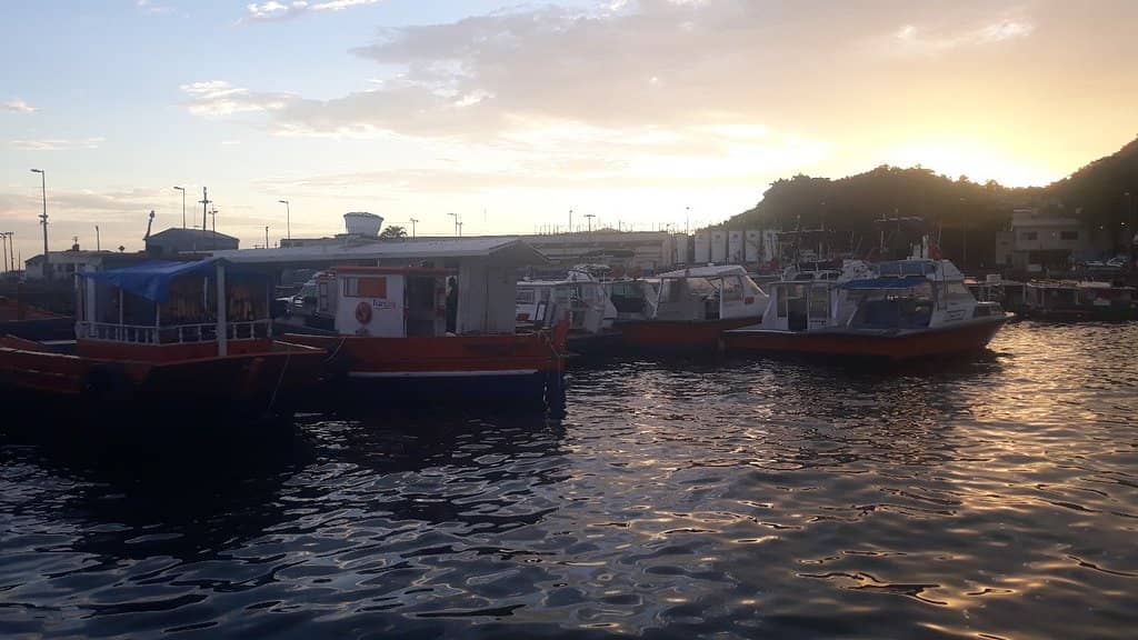 Local Culture & Events