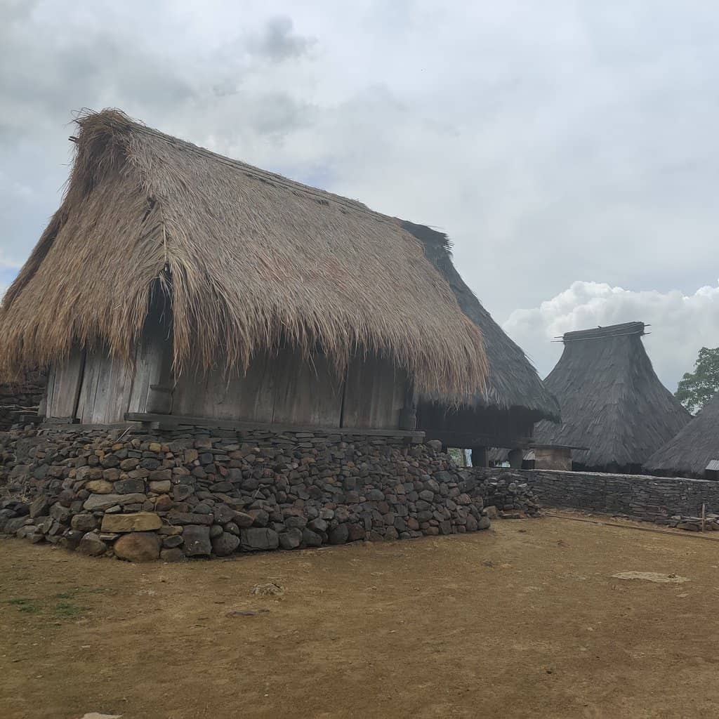 Cultural Immersion with Locals