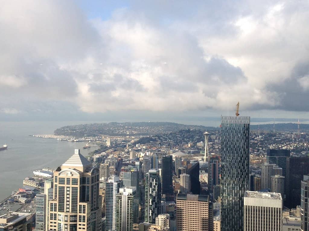 Bamboo Tree House Experience