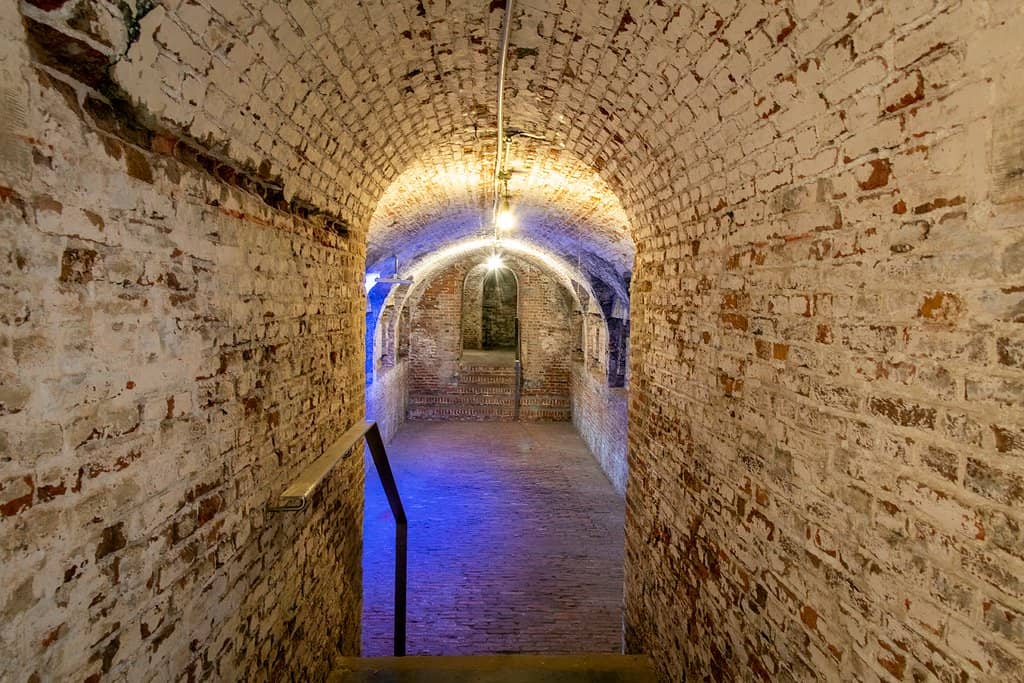 Rooftop Terrace Views